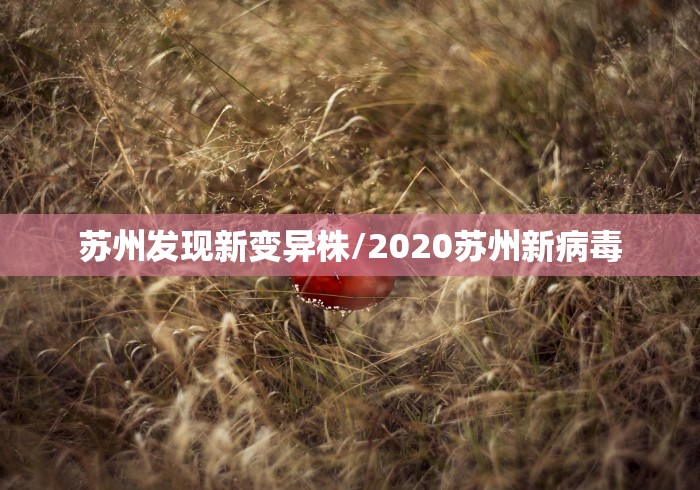 杨州最新疫情今天:杨州最新役情