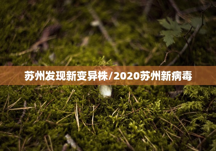 秒懂教程“龙澜大厅金花房间卡怎么弄”房卡详细充值 秒懂教程“龙澜大厅金花房间卡怎么弄”房卡详细充值