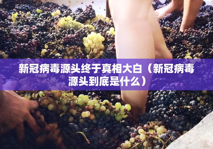 新冠病毒源头终于真相大白(新冠病毒源头到底是什么) 新冠病毒源头终于真相大白(新冠病毒源头到底是什么)