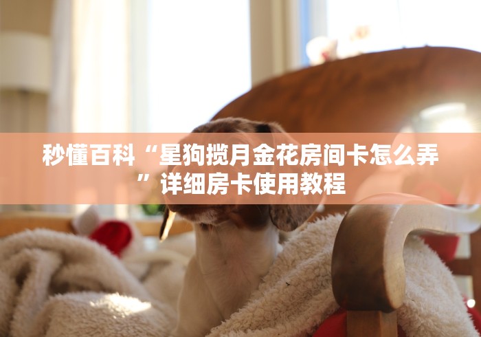秒懂百科“星狗揽月金花房间卡怎么弄”详细房卡使用教程 秒懂百科“星狗揽月金花房间卡怎么弄”详细房卡使用教程