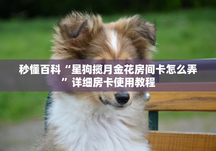 秒懂百科“星狗揽月金花房间卡怎么弄”详细房卡使用教程 秒懂百科“星狗揽月金花房间卡怎么弄”详细房卡使用教程