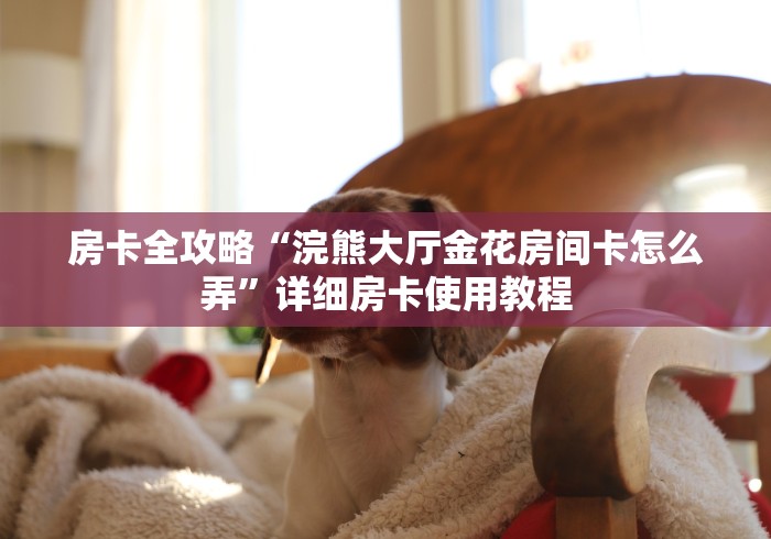 秒懂教程“超酷大厅金花房间卡怎么弄”链接房卡怎么充值
