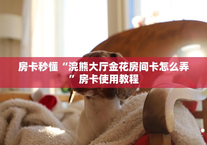房卡秒懂“浣熊大厅金花房间卡怎么弄”房卡使用教程 房卡秒懂“浣熊大厅金花房间卡怎么弄”房卡使用教程