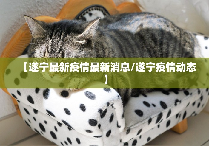江苏省内支援南京/江苏各地支援南京 江苏省内支援南京/江苏各地支援南京