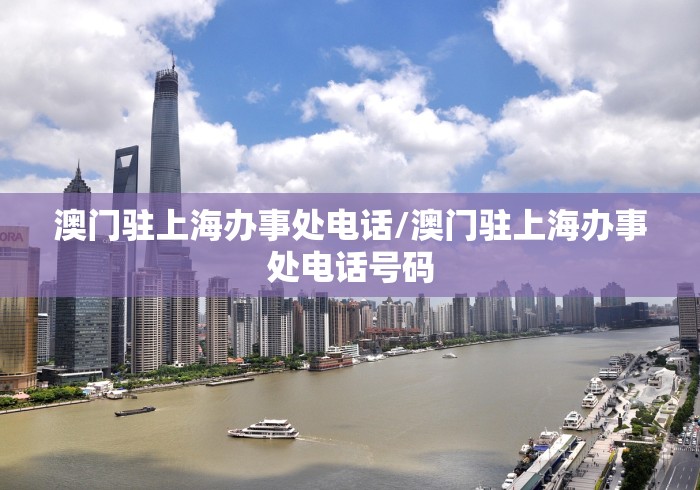 澳门驻上海办事处电话/澳门驻上海办事处电话号码 澳门驻上海办事处电话/澳门驻上海办事处电话号码