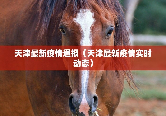 天津最新疫情通报(天津最新疫情实时动态) 天津最新疫情通报(天津最新疫情实时动态)