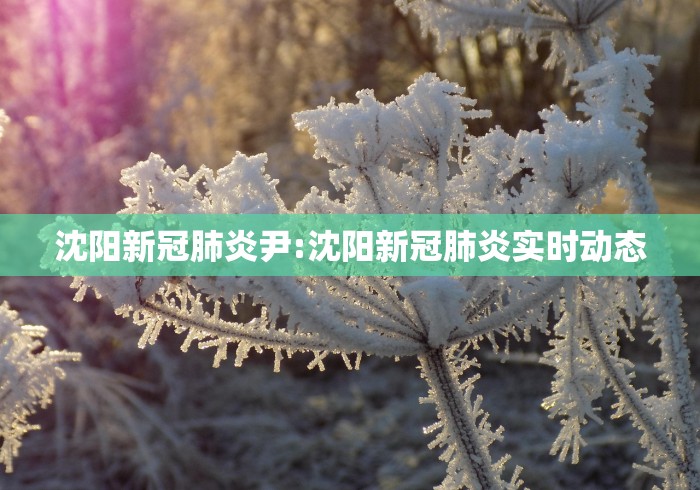 一分钟了解“微信开金花群怎么买房卡”详细房卡教程 一分钟了解“微信开金花群怎么买房卡”详细房卡教程
