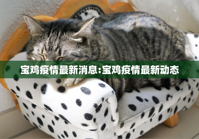宝鸡疫情最新消息:宝鸡疫情最新动态 宝鸡疫情最新消息:宝鸡疫情最新动态