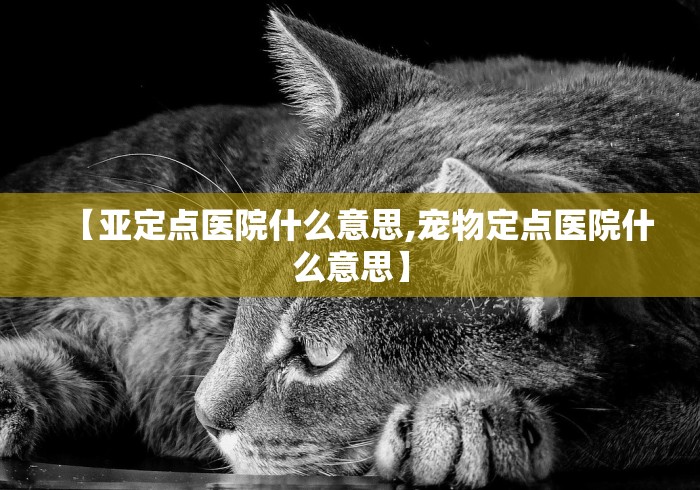 【亚定点医院什么意思,宠物定点医院什么意思】