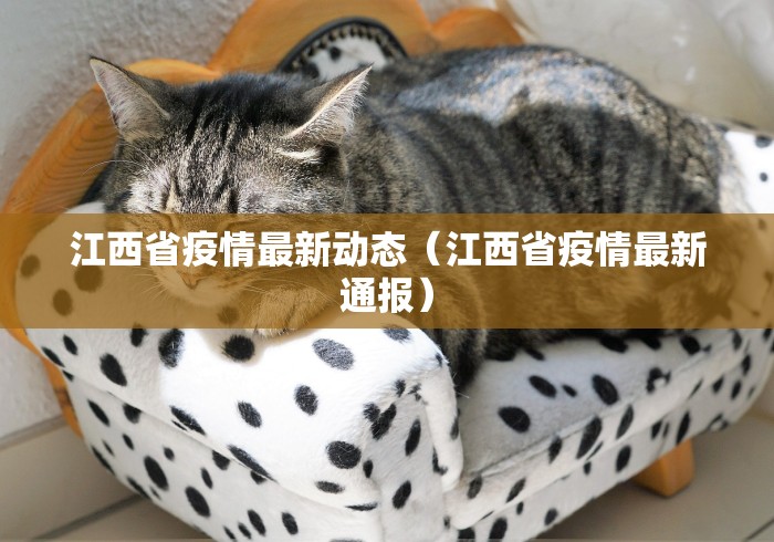 江西省疫情最新动态(江西省疫情最新通报) 江西省疫情最新动态(江西省疫情最新通报)