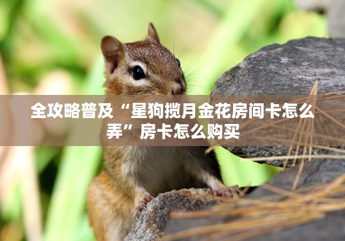 全攻略普及“星狗揽月金花房间卡怎么弄”房卡怎么购买