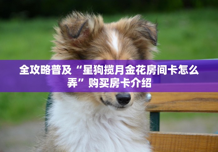 全攻略普及“星狗揽月金花房间卡怎么弄”购买房卡介绍 全攻略普及“星狗揽月金花房间卡怎么弄”购买房卡介绍