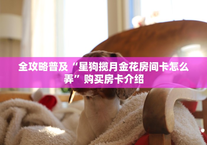 全攻略普及“星狗揽月金花房间卡怎么弄”购买房卡介绍 全攻略普及“星狗揽月金花房间卡怎么弄”购买房卡介绍
