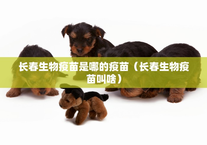 新一轮疫情波及26省/又一波疫情