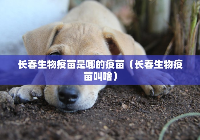 2026房卡教程“最新七喜牛牛 怎么买房卡”房卡链接获取 2026房卡教程“最新七喜牛牛 怎么买房卡”房卡链接获取