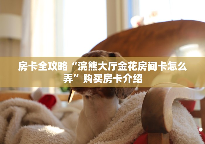 房卡全攻略“浣熊大厅金花房间卡怎么弄”购买房卡介绍