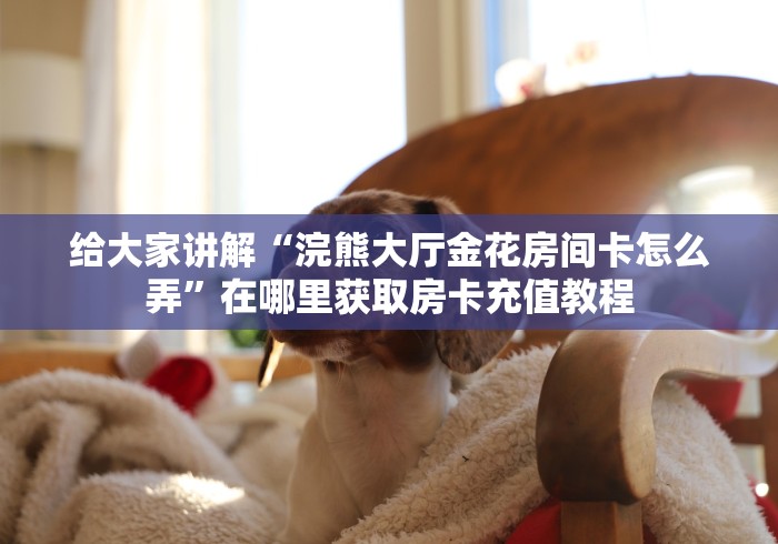给大家讲解“浣熊大厅金花房间卡怎么弄”在哪里获取房卡充值教程 给大家讲解“浣熊大厅金花房间卡怎么弄”在哪里获取房卡充值教程