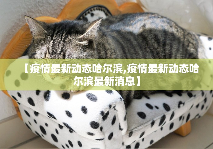 【疫情最新动态哈尔滨,疫情最新动态哈尔滨最新消息】 【疫情最新动态哈尔滨,疫情最新动态哈尔滨最新消息】