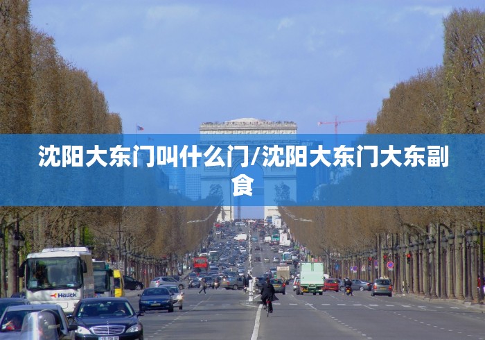 沈阳大东门叫什么门/沈阳大东门大东副食 沈阳大东门叫什么门/沈阳大东门大东副食