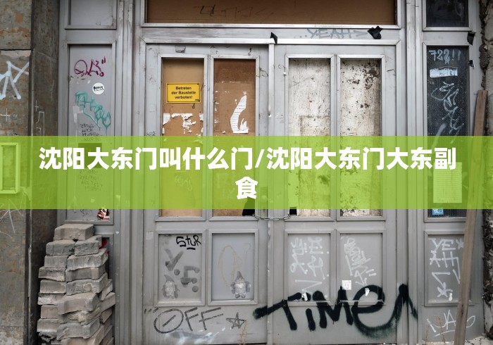 沈阳大东门叫什么门/沈阳大东门大东副食 沈阳大东门叫什么门/沈阳大东门大东副食