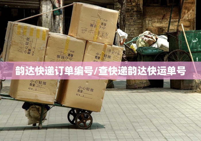 韵达快递订单编号/查快递韵达快运单号 韵达快递订单编号/查快递韵达快运单号