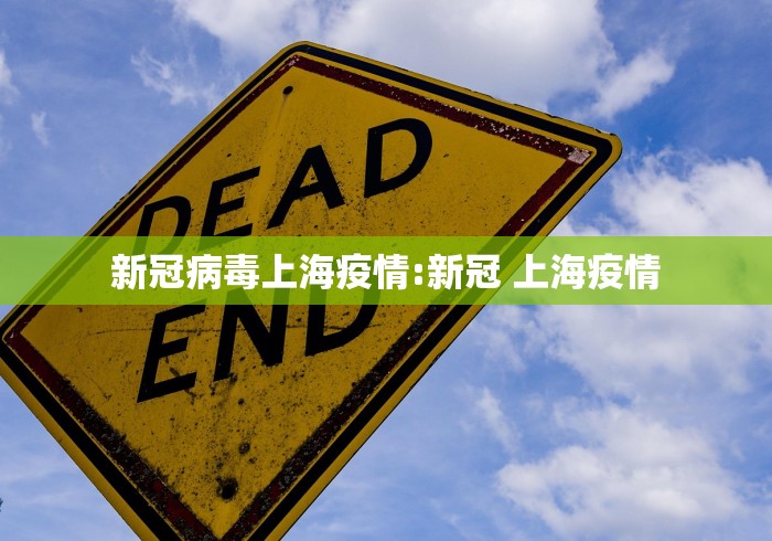 新冠病毒上海疫情:新冠 上海疫情