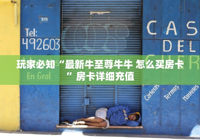 玩家必知“最新牛至尊牛牛 怎么买房卡”房卡详细充值