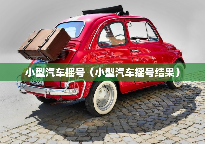 小型汽车摇号（小型汽车摇号结果）