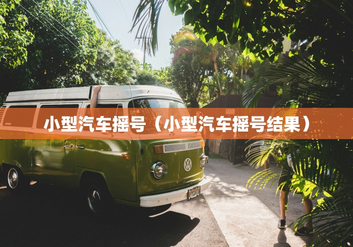 小型汽车摇号（小型汽车摇号结果）