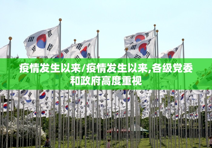 疫情发生以来/疫情发生以来,各级党委和政府高度重视 疫情发生以来/疫情发生以来,各级党委和政府高度重视