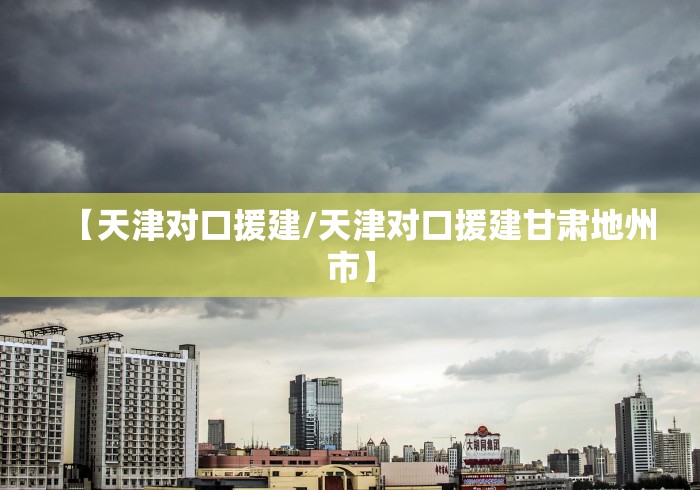 【天津对口援建/天津对口援建甘肃地州市】