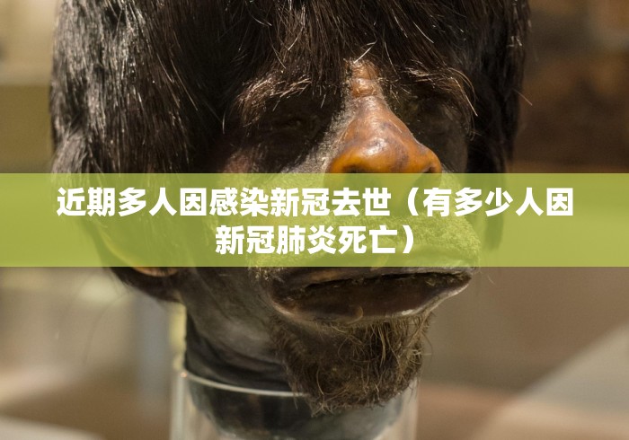 近期多人因感染新冠去世(有多少人因新冠肺炎死亡) 近期多人因感染新冠去世(有多少人因新冠肺炎死亡)