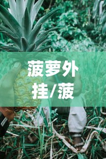 菠萝外挂/菠萝boloapp