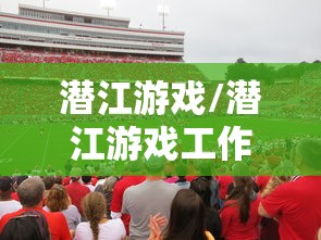 潜江游戏/潜江游戏工作室