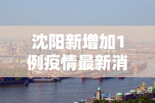 沈阳新增加1例疫情最新消息(沈阳新增加1例疫情行程) 沈阳新增加1例疫情最新消息(沈阳新增加1例疫情行程)