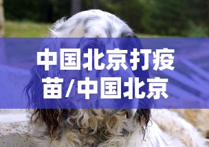 中国北京打疫苗/中国北京打疫苗在哪里打