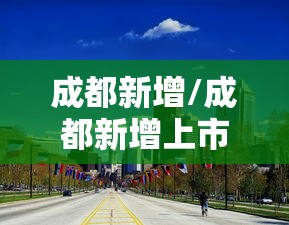 成都新增/成都新增上市公司