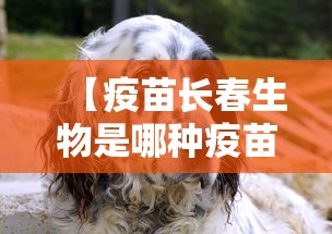 【终南山来石家庄/终南山来石家庄要隔离吗】 【终南山来石家庄/终南山来石家庄要隔离吗】