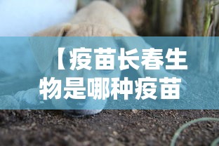 西安解封最新时间通知/2020年疫情西安解封时间