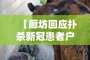 南京重庆新冠（南京新冠病毒最新消息）