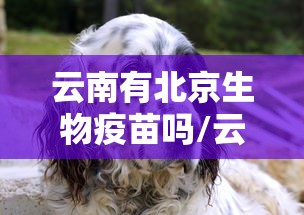 云南有北京生物疫苗吗/云南有北京科兴疫苗吗