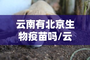 云南有北京生物疫苗吗/云南有北京科兴疫苗吗