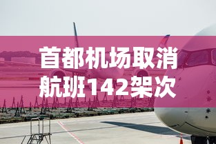 首都机场取消航班142架次/首都机场取消航班104架 首都机场取消航班142架次/首都机场取消航班104架