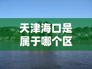 天津海口是属于哪个区/天津海南