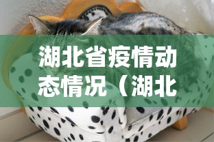 房卡必备教程“微信牛牛链接版有房卡”房卡使用教程
