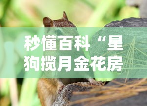 房卡全攻略“微信链接”房卡详细充值 房卡全攻略“微信链接”房卡详细充值
