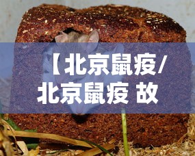 北京昨日新增确诊病例21例:北京昨日新增疑似病例