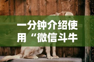 一分钟介绍使用“微信斗牛房卡购买渠道”房卡链接获取 一分钟介绍使用“微信斗牛房卡购买渠道”房卡链接获取