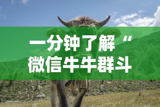 一分钟了解“微信牛牛群斗牛群”房卡链接获取