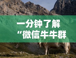 一分钟了解“微信牛牛群斗牛群”房卡链接获取